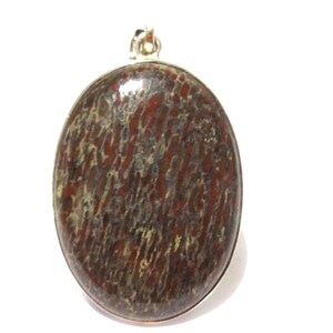 Dinosaur Bone Sterling Silver Pendant - Large