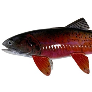 Realistic Cutthroat Trout Replica