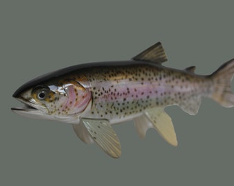 Realistic Rainbow Trout Replica