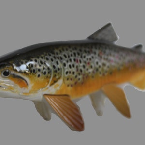 Realistic Brown Trout Replica