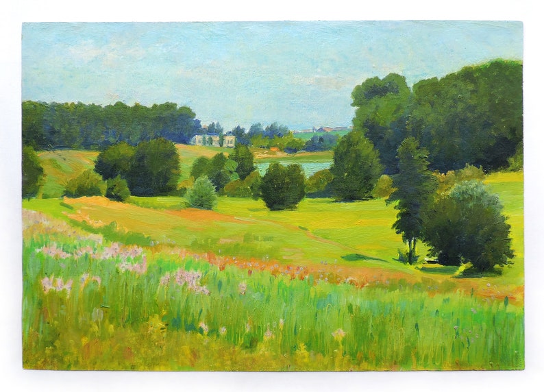SUMMER LANDSCAPE Vintage original oil painting by Soviet Ukrainian artist M.Chaliy Woodland scenery Lake in the forest Meadows landscape