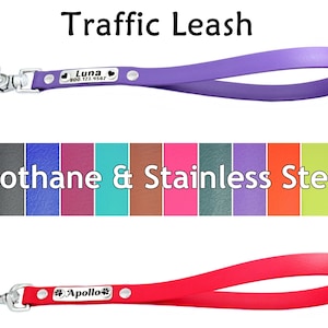 Personalized Traffic Lead, Biothane Tab, Tab Leash, Biothane & Stainless Steel with Rivet On Name Plate, Dog Lovers Gift