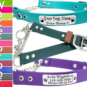 Biothane Martingale, 100% Stainless Steel on Biothane, Waterproof, Martingale Dog Collar, Optional Name Plate