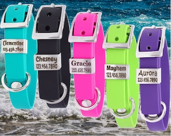 Small Dog Collar, Personalized, Engraved ID, Waterproof Biothane Collar, Stainless Steel, Comfy, Durable & Secure, 5/8&quot; wide
