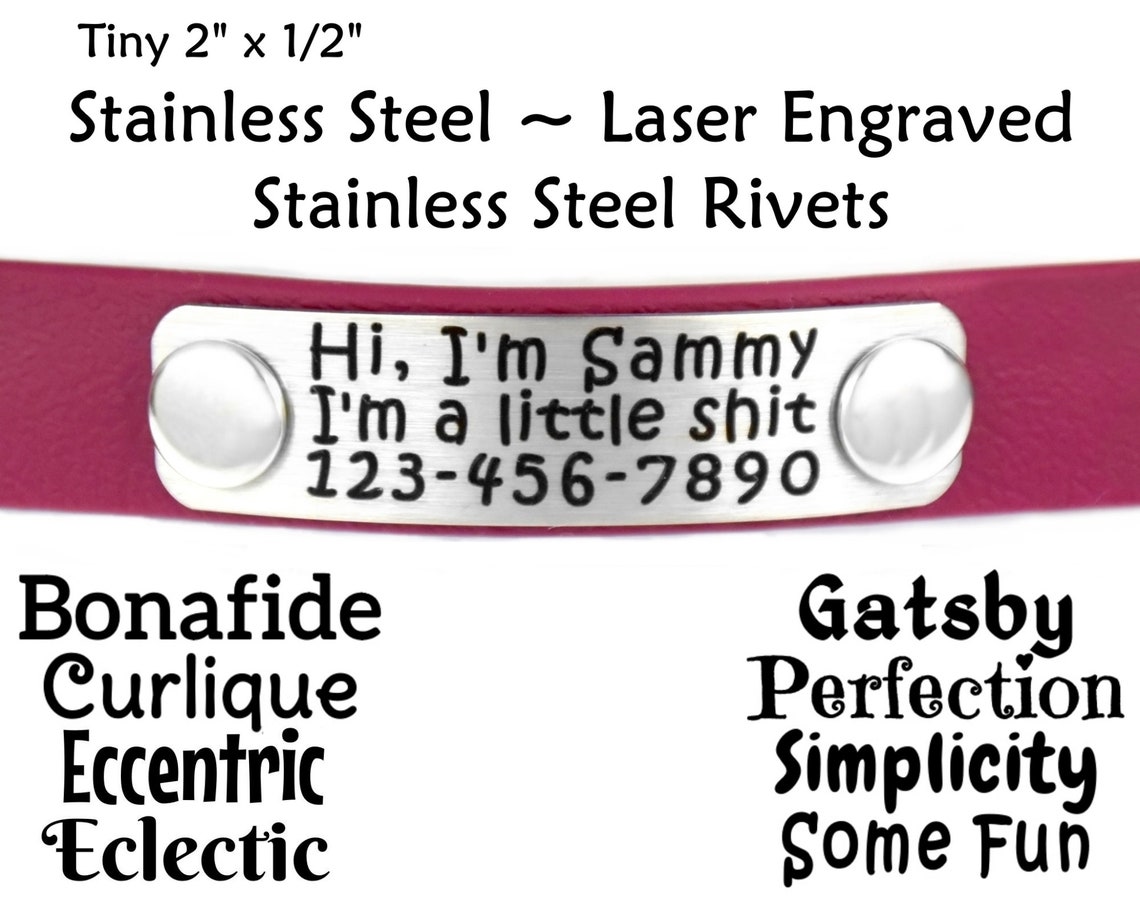 Collar Name Plate Tiny Personalized Name Plate 316 Stainless Etsy