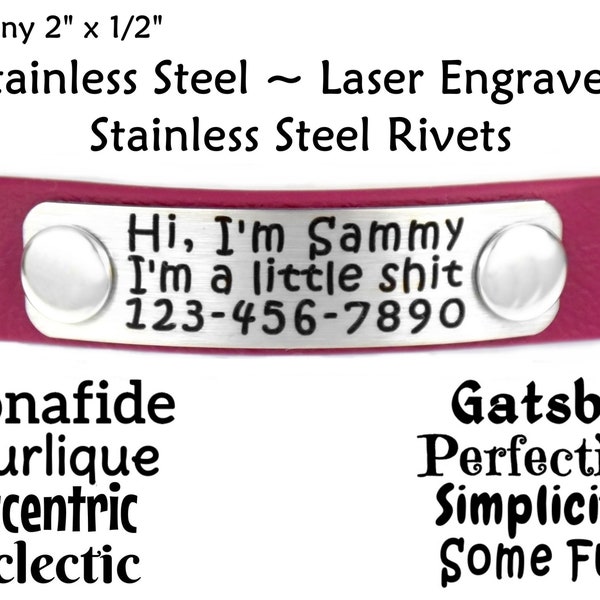 Collar Name Plate, Tiny Personalized Name Plate, 316 Stainless Rivet On Name Plate, Laser Engraved, Personalized ID ~ Tiny