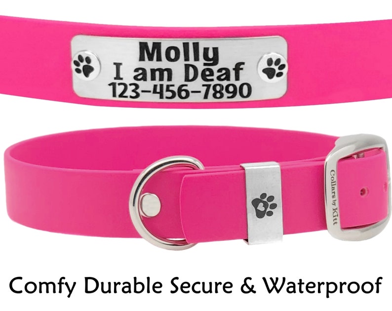 Biothane Dog Collar With Name Plate 1 Wide Waterproof Etsy