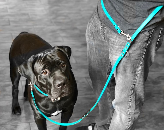 waterproof dog leash