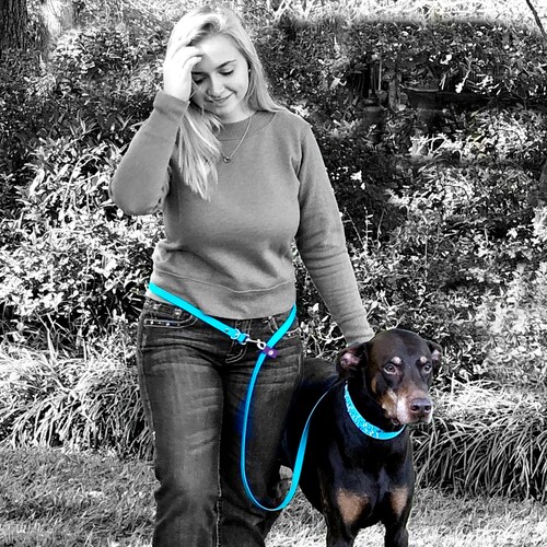 Hands Free Leash Biothane Waist Leash Waterproof Crossbody Etsy