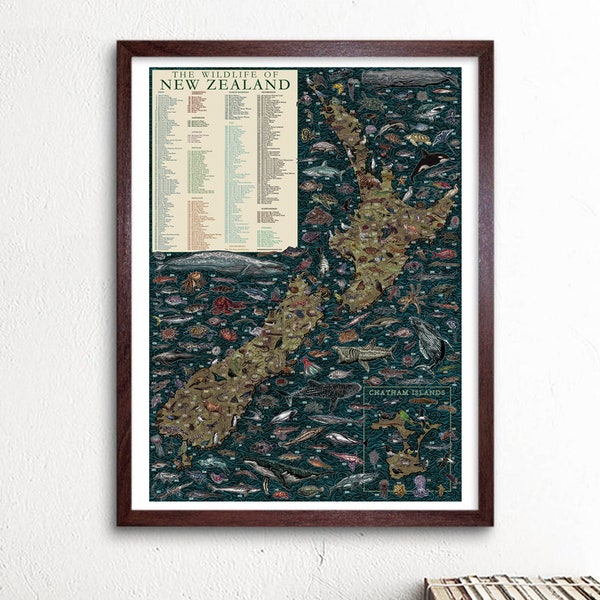 Mapa de la fauna de Nueva Zelanda / Póster educativo ilustrado a mano / Lámina de mapa / Decoración de pared