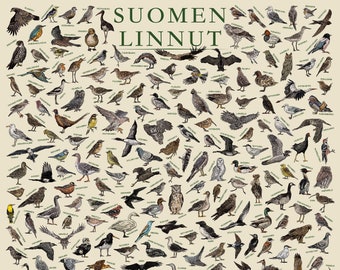 The Birds of Finland (Suomen Linnut) - Hand-illustrated / Finish Wildlife Educational Poster