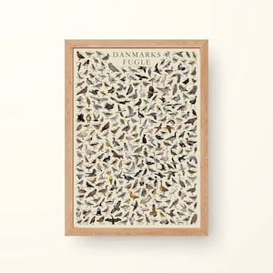 The Birds of Denmark (Danmarks Fugle) - Hand-illustrated / Swedish Wildlife Educational Poster