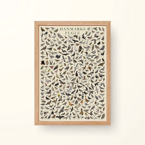 The Birds of Denmark (danmarks Fugle) - Hand-illustrated / Swedish