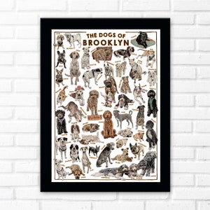 The Dogs of Brooklyn