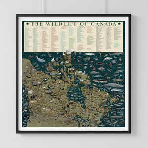 Mapa de la vida salvaje de Canadá: póster educativo ilustrado a mano