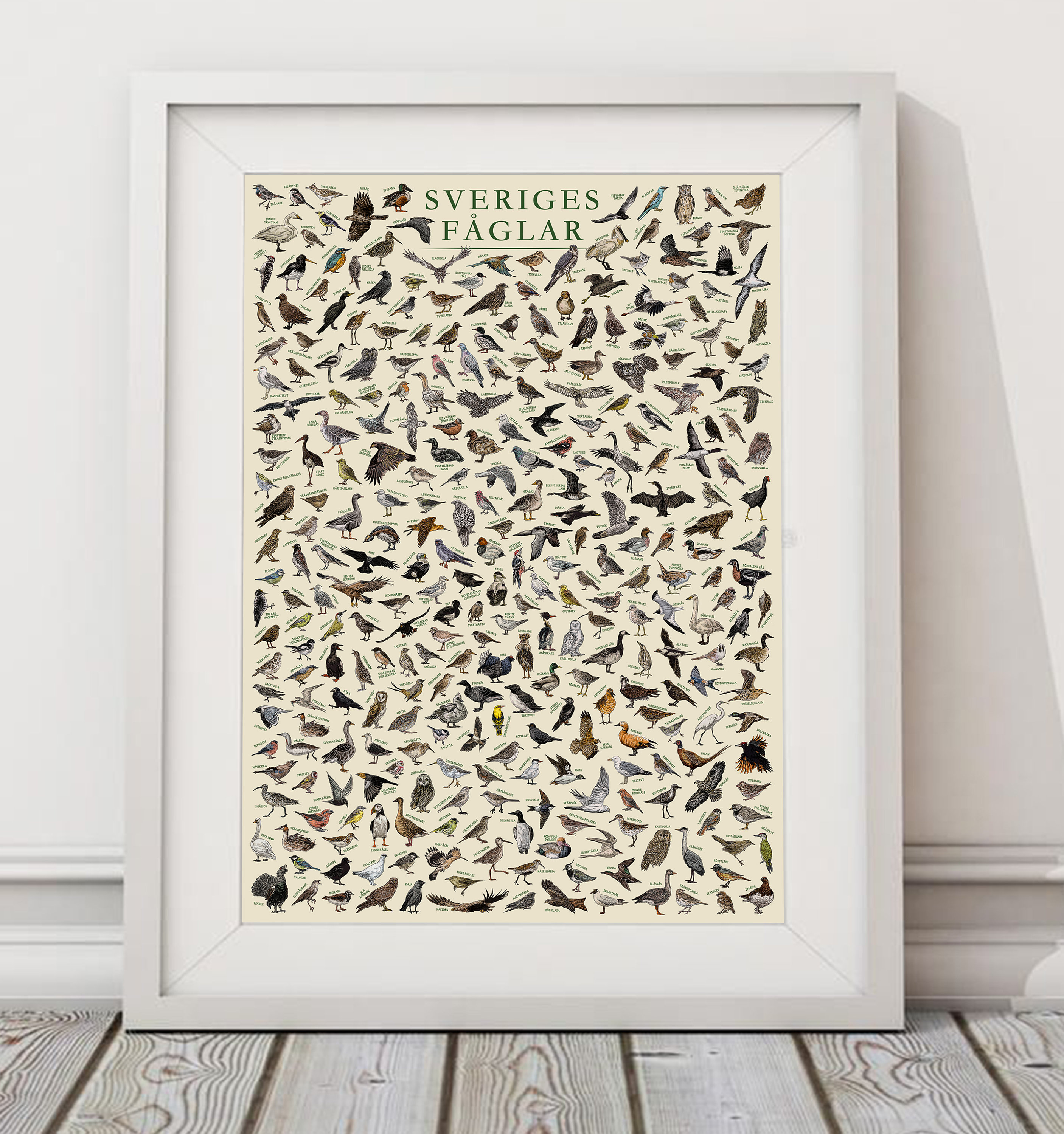 The Birds of Sweden (sveriges Fåglar) - Hand-illustrated / Swedish