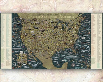 The Wildlife of USA Map - Hand-illustrated Educational Poster Art Print