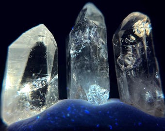 THREE Golden Enhydro Petroleum Included Quartz Fluorescent UV Reactive Skeletal Fenster Crystal
