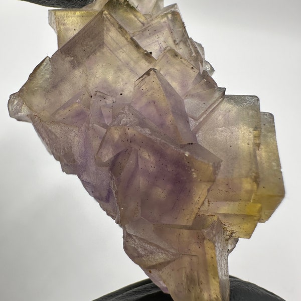 Yellow Cubic FLUORITE Crystal Cluster with Purple Phantom Inclusions Mineral Specimen from Anhui, China