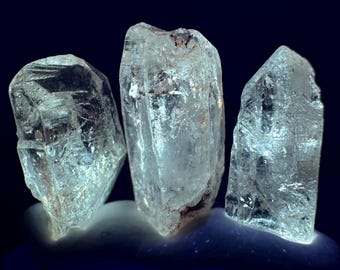 THREE Golden Enhydros Petroleum Included Quartz Fluorescent UV Reactive Skeletal Fenster Crystal