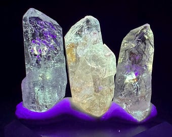 THREE Golden Enhydros Petroleum Included Quartz Fluorescent UV Reactive Skeletal Fenster Crystal