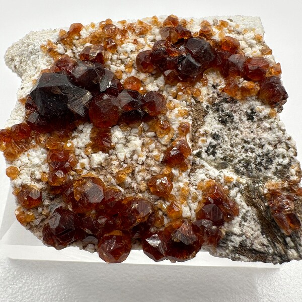 Orange Spessartine GARNET Terminated Crystals in Matrix