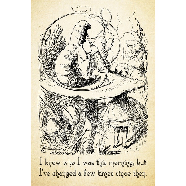 Stampa Artistica Su Pagina Di Dizionario Alice Nel Paese Delle - Foto 2