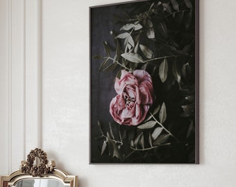 Pink Peony Photography Print: Dark Botanical Wall Art (Digital Download)