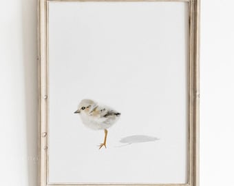 Piping Plover Chick Watercolor Wall Art: Shorebird Coastal Decor