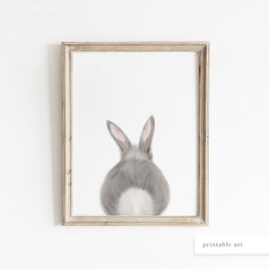 May include: A framed illustration of a gray rabbit's rear end with white fur on its tail. The rabbit is facing away from the viewer.