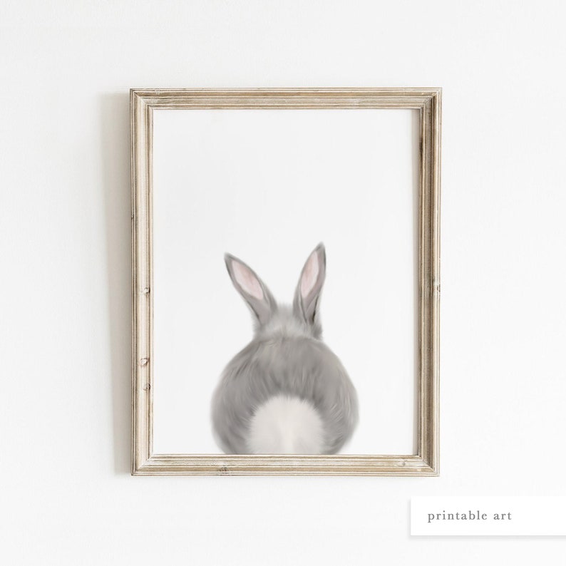 May include: A framed illustration of a gray rabbit's rear end with white fur on its tail. The rabbit is facing away from the viewer.
