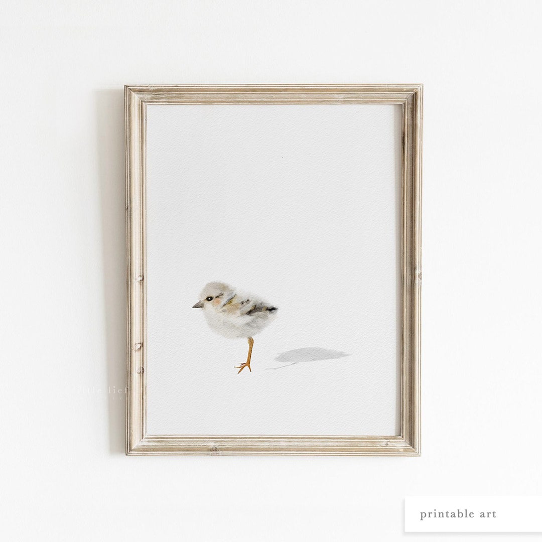 Coastal Bird Print, Printable Wall Art, Coastal Wall Art, Coastal Bird