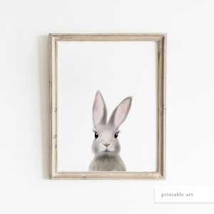 May include: A gray bunny rabbit with long ears and big black eyes looks directly at the viewer. The bunny is in a white frame.