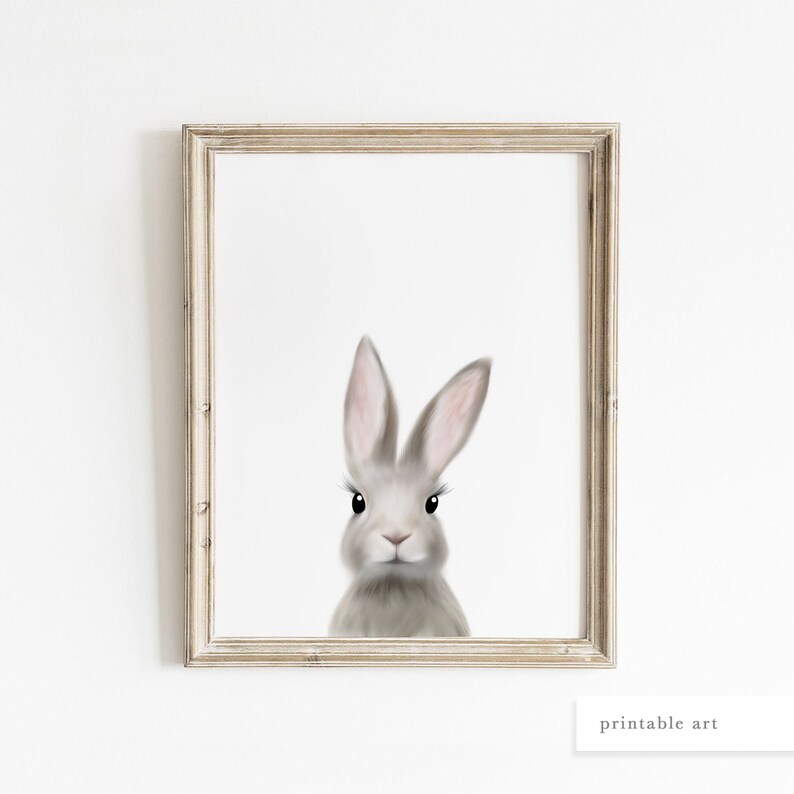 May include: A gray bunny rabbit with long ears and big black eyes looks directly at the viewer. The bunny is in a white frame.