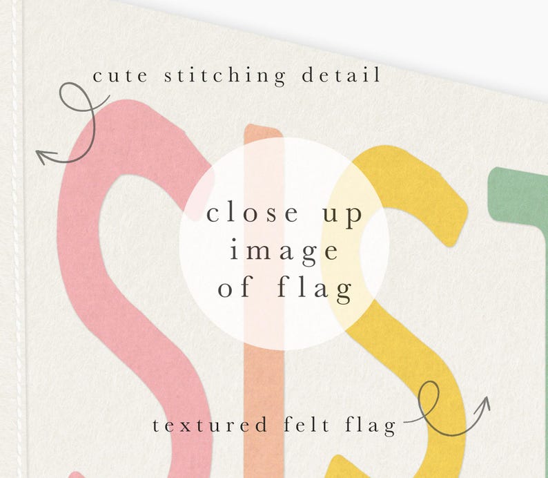Close-up of Sisterhood pennant flag artwork, featuring vintage-style textured details and soft pastel tones.