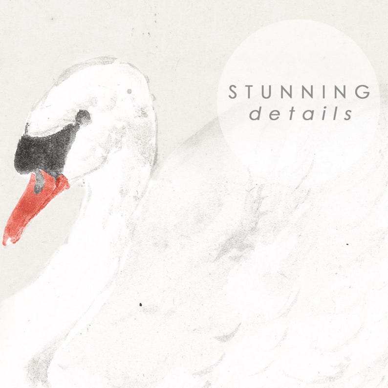 Close-up detail of a vintage-style white swan painting, showing its softly brushed feathers, curved neck, black facial markings and bright orange beak against a pale textured background.