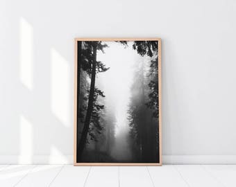 Photographie noir blanc, Black White Art, Misty Forest Print, Foggy Forest, Tree Photography, Nature Photography, Black White Forest