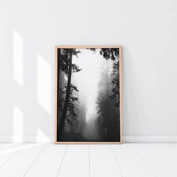 Black white photography, Black White Art, Misty Forest Print, Foggy Forest, Tree Photography, Nature Photography, Black White Forest