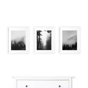 Black and White Forest Wall Art: Foggy Landscape Photography Print image 3