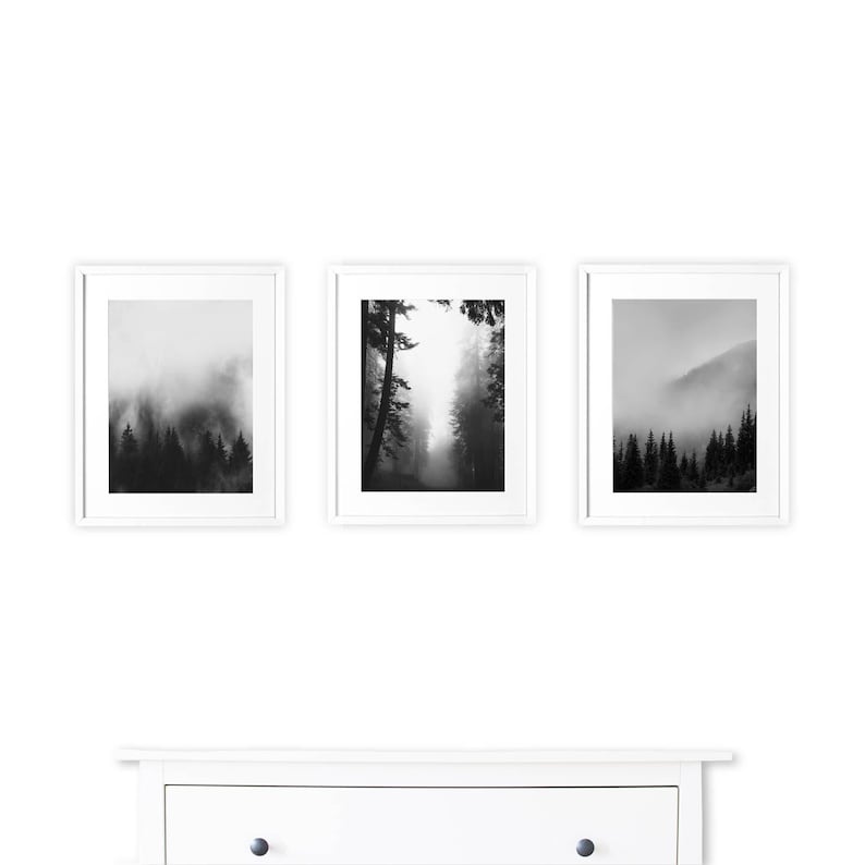 Black and White Forest Wall Art: Foggy Landscape Photography Print image 3