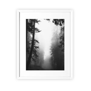 Black and White Forest Wall Art: Foggy Landscape Photography Print image 2