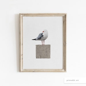 Watercolor Seagull Print, Printable Wall Art, Coastal Wall Art, Beach House Decor, Nautical Bird Print, Kids Bathroom Decor, Boys Room Art