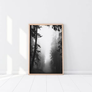 Black and White Forest Wall Art: Foggy Landscape Photography Print image 1