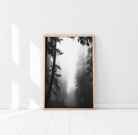Black and White Forest Wall Art: Foggy Landscape Photography Print