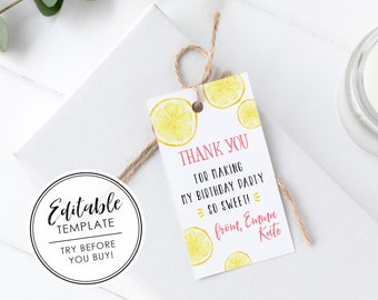 Printable Lemonade and Fun Birthday Party Favor Gift Tag - EDITABLE TEMPLATE