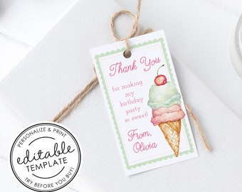 Ice Cream Cone Printable Favor Tag, Pink Gingham - EDITABLE TEMPLATE