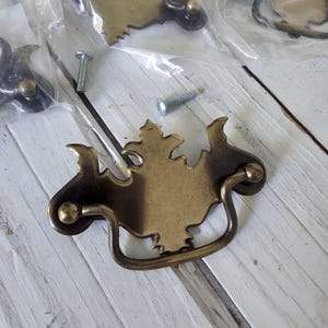 May include: A brass-toned metal drawer pull with a decorative backplate and a curved swinging handle. The hardware features a central ornate shape with pointed edges and two matching metal screws included for installation purposes.