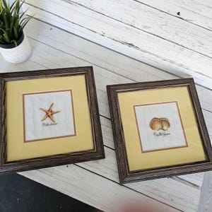 May include: Two framed art prints featuring a starfish and a scallop shell. Each print has a yellow mat and a dark brown wooden frame. The starfish print has the text "Etoile de mer". The scallop shell print has the text "Coquille St Jacques".
