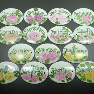 May include: A collection of 14 oval ceramic tiles with painted roses and names of different rose varieties. The tiles are white with green leaves and pink or yellow roses.
