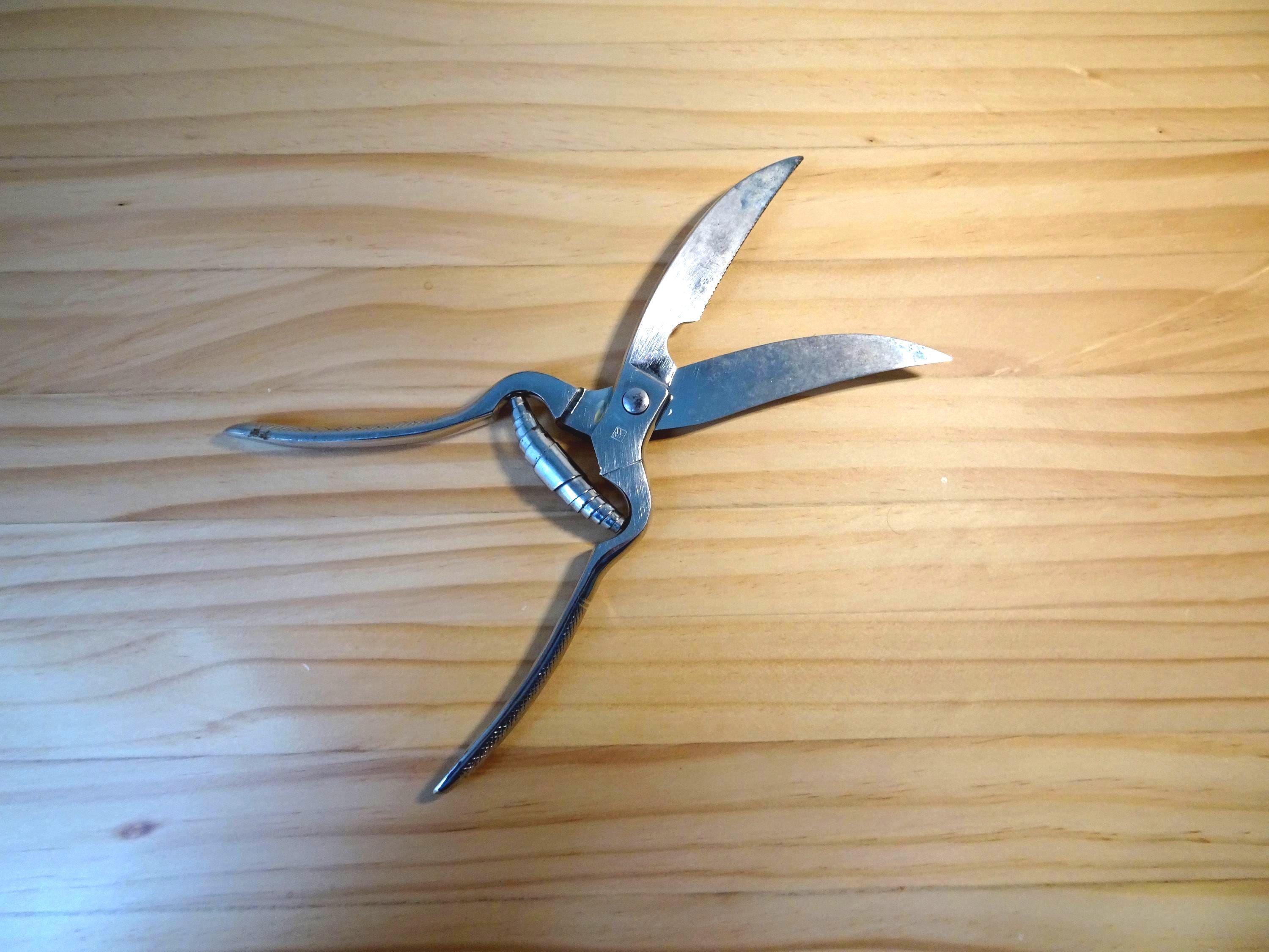 Solingen shears - Etsy 日本